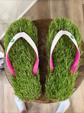 Grass-Top Pink Strap Flip Flops